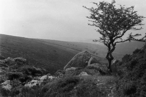 An image from the Dartmoor Trust Archive