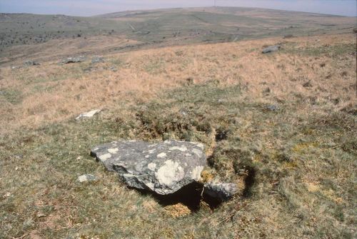 An image from the Dartmoor Trust Archive