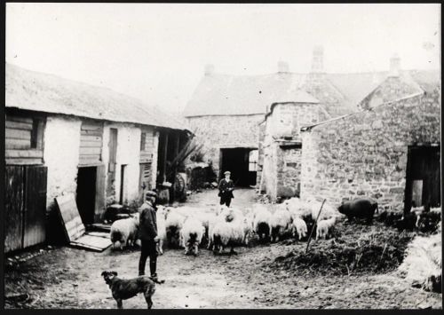 Oxenham farmyard