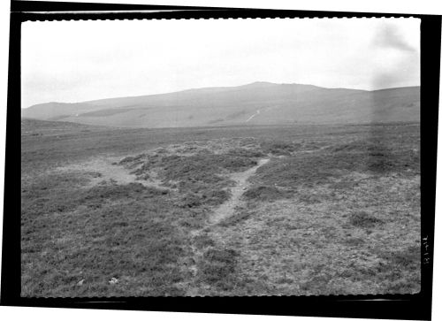 Tumulus on Watchett Hill