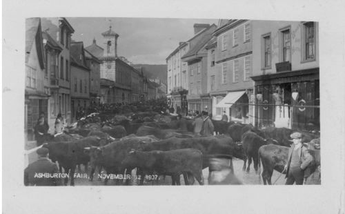 An image from the Dartmoor Trust Archive