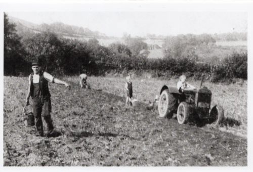 An image from the Dartmoor Trust Archive