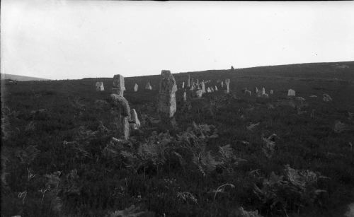 An image from the Dartmoor Trust Archive