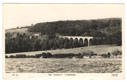 Viaduct at Ivybridge