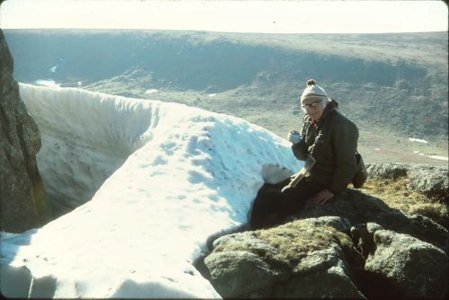 Black Tor, near Meldon, in snow