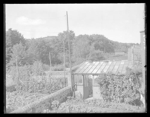 Vegetable patch and Brent Hill