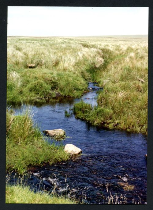 35/37 Confluence Ryder's Mire stream and Avon 10/7/1991