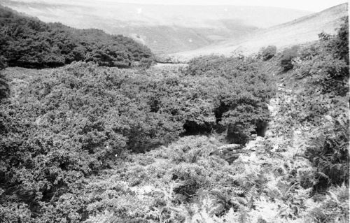 An image from the Dartmoor Trust Archive