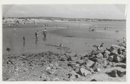 Beach at Dawlish