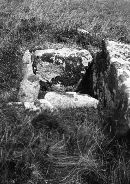 An image from the Dartmoor Trust Archive