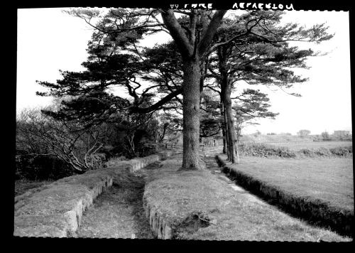 The Devonport leat at Lake Farm in Yelverton