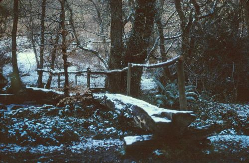 An image from the Dartmoor Trust Archive