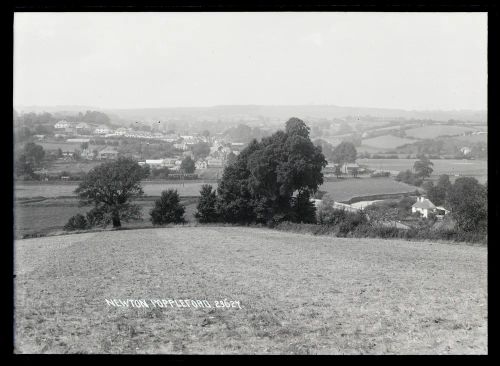 General view, Newton Poppleford