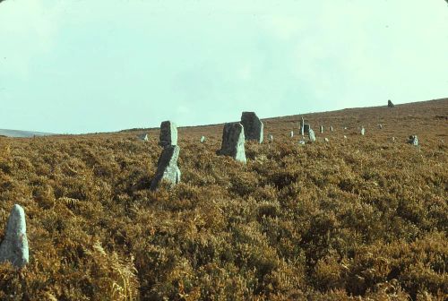 An image from the Dartmoor Trust Archive