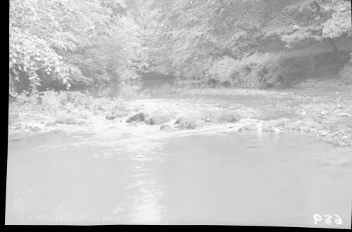 The river Plym below Plym bridge