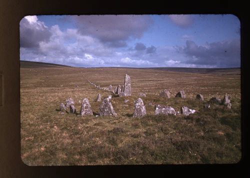 Down Tor Antiquities