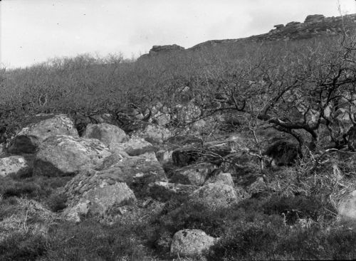 An image from the Dartmoor Trust Archive