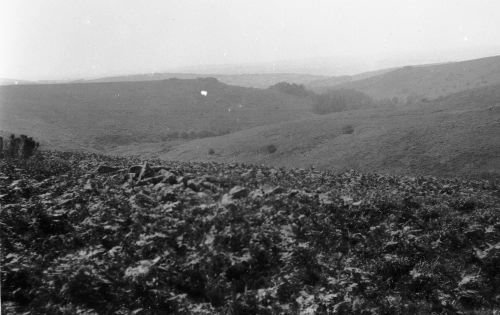 An image from the Dartmoor Trust Archive