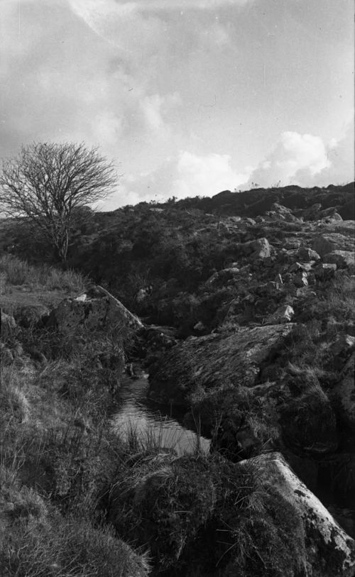 An image from the Dartmoor Trust Archive