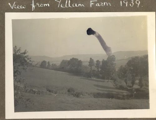 View from Yellam Farm