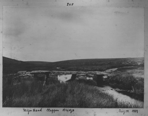 Teignhead Clapper Bridge