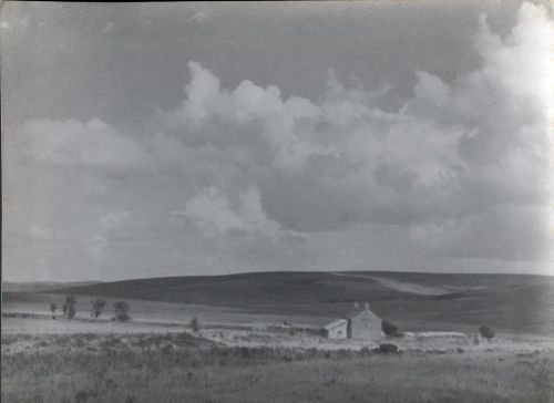 Dartmoor farmstead  - Nun's Cross Farm ?