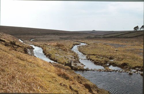 An image from the Dartmoor Trust Archive