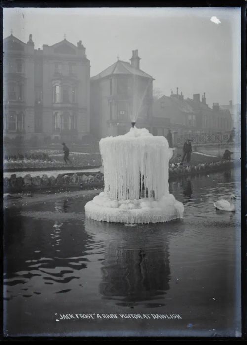 'Jack Frost' a rare visitor at Dawlish'