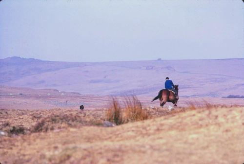 An image from the Dartmoor Trust Archive