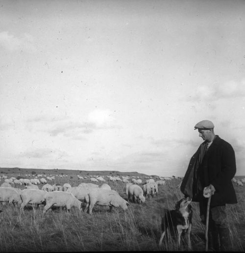 An image from the Dartmoor Trust Archive