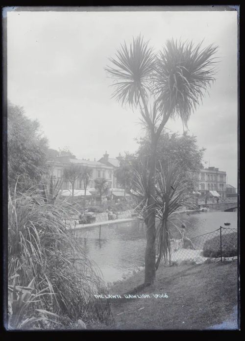 The Lawn, Dawlish