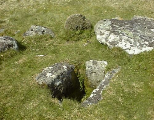 An image from the Dartmoor Trust Archive