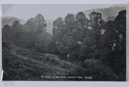 River Exe at Duvale