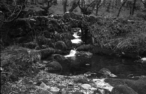 An image from the Dartmoor Trust Archive