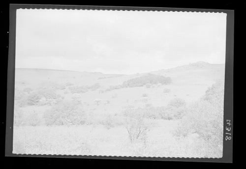 Shipley Tor, Black Tor