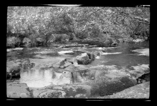 Shipley, River Avon, 