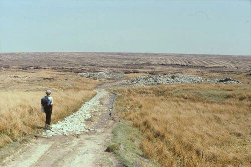 An image from the Dartmoor Trust Archive