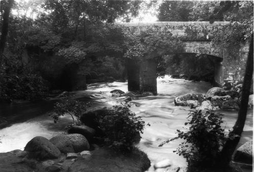 An image from the Dartmoor Trust Archive