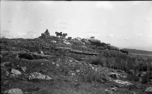 An image from the Dartmoor Trust Archive