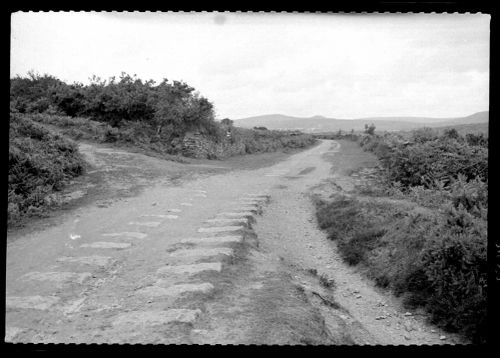 Remains of the Plymouth and Dartmoor Railway at Clearbrook