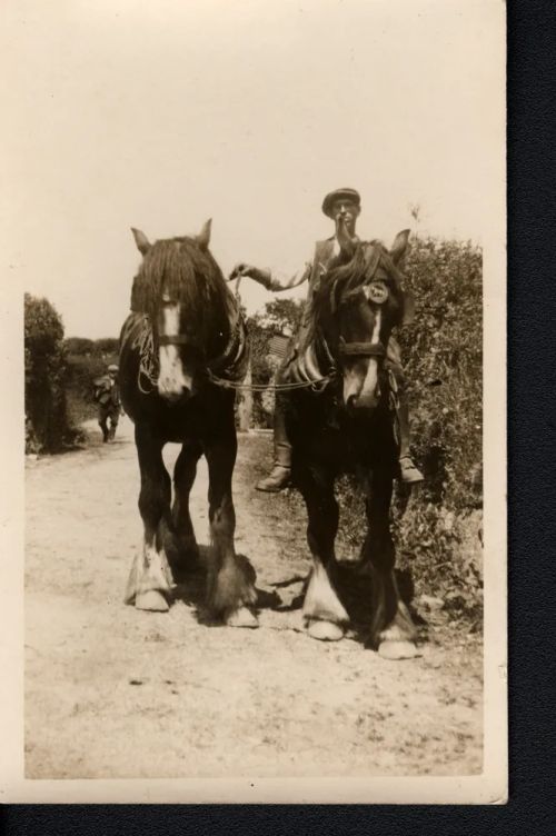 An image from the Dartmoor Trust Archive