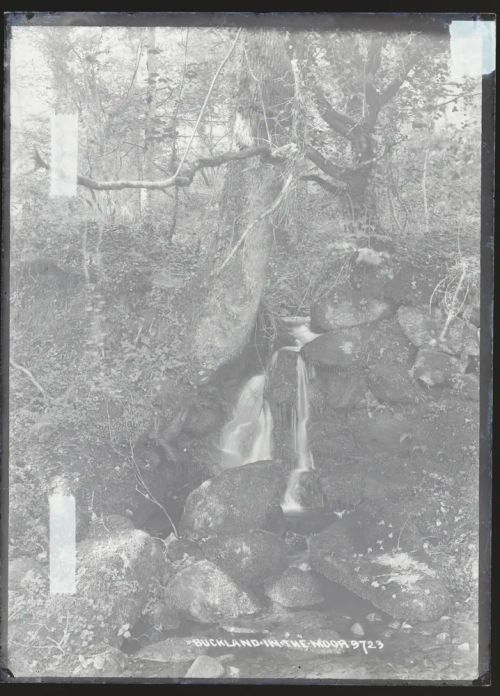  Waterfall, Buckland in the Moor