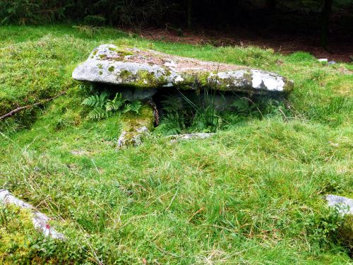 An image from the Dartmoor Trust Archive