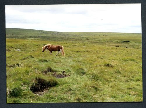 31/40 Sandy Way to Aune Head Mires 20/7/1991