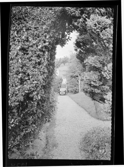 The Taylor's Front Garden at Moorside