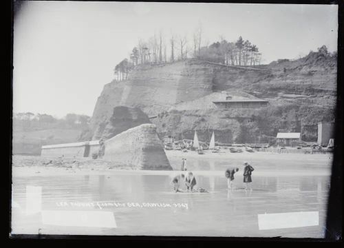 Lea Mount from the sea, Dawlish