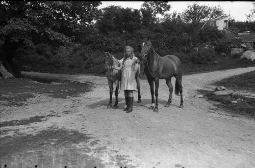 An image from the Dartmoor Trust Archive