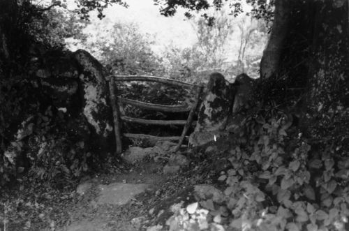 An image from the Dartmoor Trust Archive