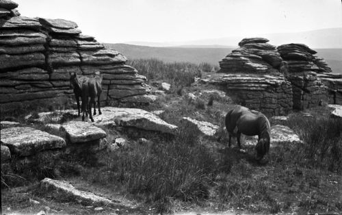 An image from the Dartmoor Trust Archive