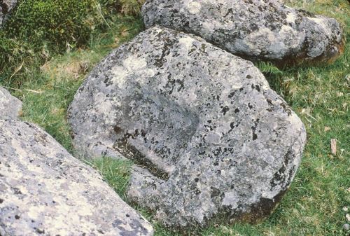 An image from the Dartmoor Trust Archive